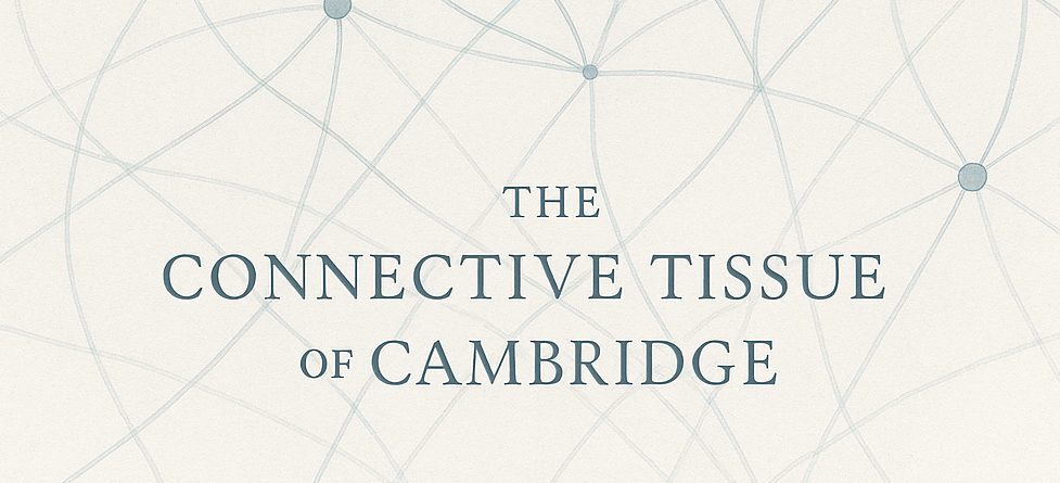 Connective edit